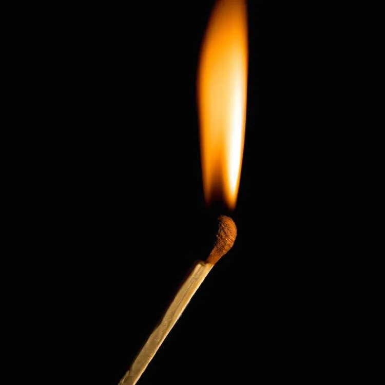 Palo Santo: Dlaczego nie warto go używać? Odkryj prawdziwe powody!